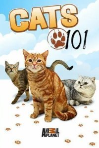 Энциклопедия кошек