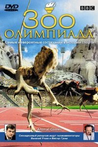 BBC: Зоо олимпиада