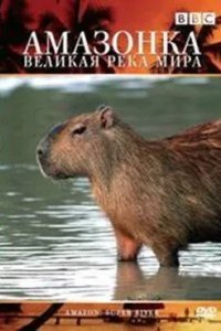 BBC: Амазонка - великая река мира