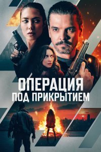 Фейерверк
