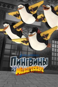 Пингвины из Мадагаскара