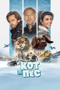 Кот и пёс