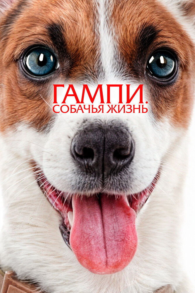 Невероятные приключения Гампи 2 смотреть онлайн