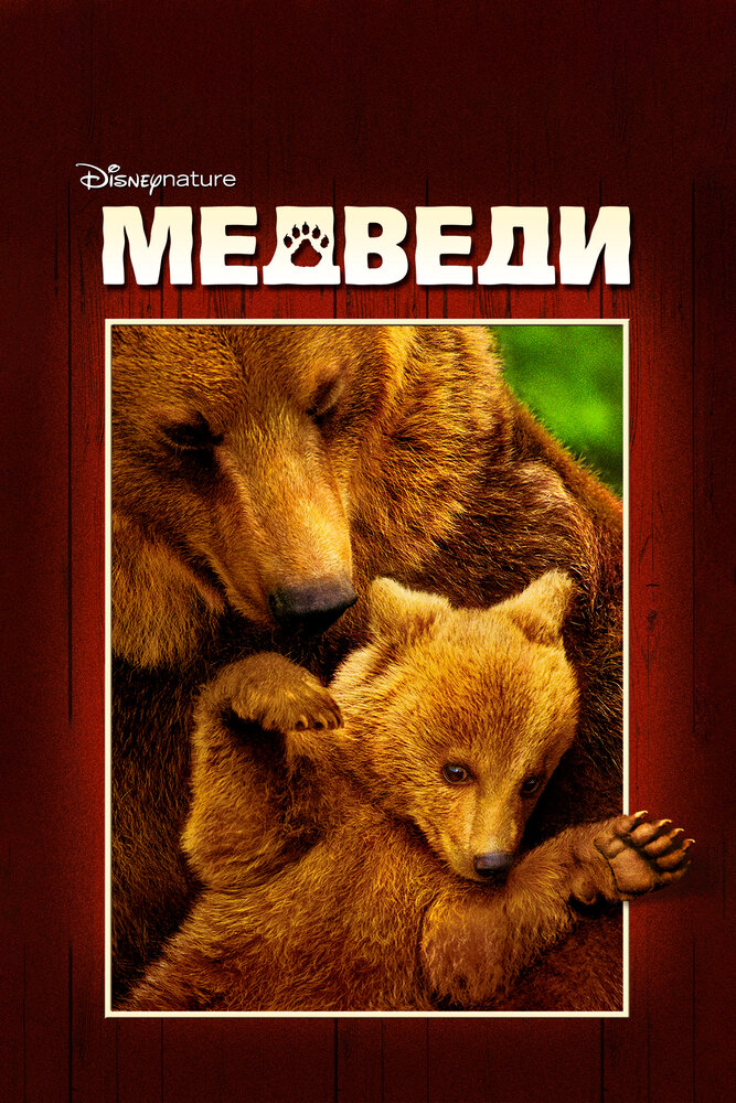 Медведи смотреть онлайн